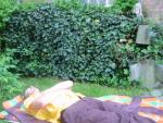 Ajout le 15/07/2008 14:52