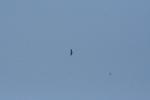 Ajout le 29/08/2012 21:43
