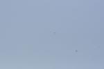 Ajout le 29/08/2012 21:43