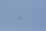 Ajout le 29/08/2012 21:43