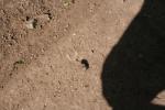 Ajout le 29/08/2012 21:44