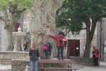 Ajout le 29/08/2012 21:45