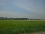 Ajout le 15/07/2008 14:44