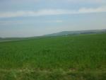 Ajout le 15/07/2008 14:44