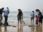 Ajout le 15/07/2008 14:45