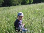 Ajout le 14/07/2008 23:27