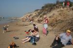 Ajout le 15/07/2008 14:45