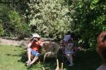 Ajout le 15/07/2008 14:50